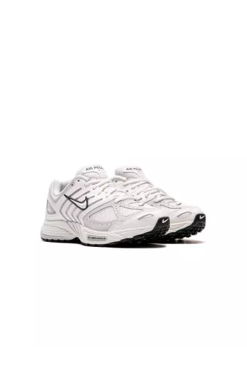 Nike Air Pegasus 2005