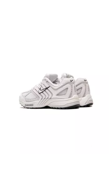 Nike Air Pegasus 2005