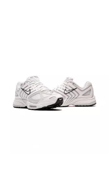 Nike Air Pegasus 2005