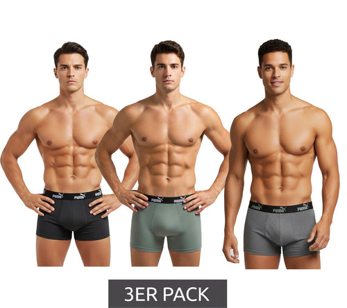 Boxer Pack 3 Puma